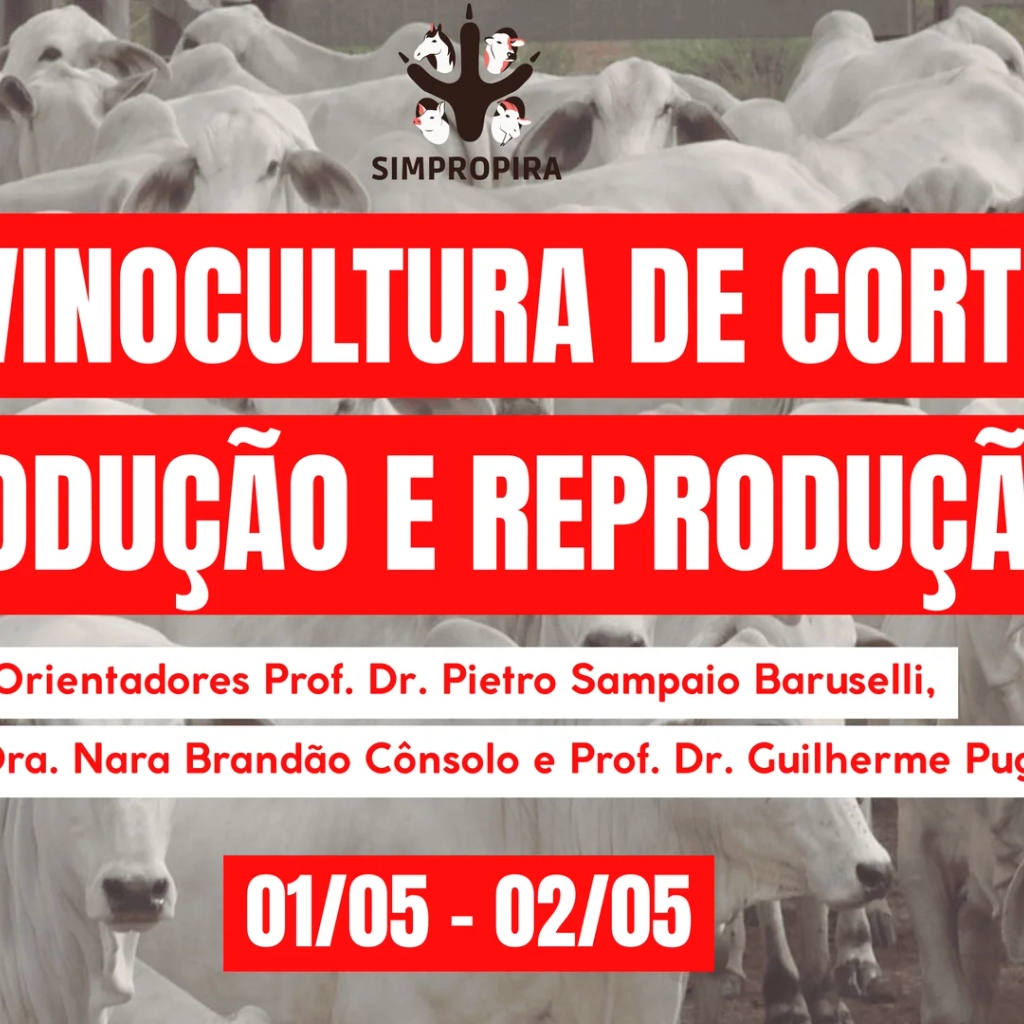 Bovinocultura de Corte: Produção e Reprodução