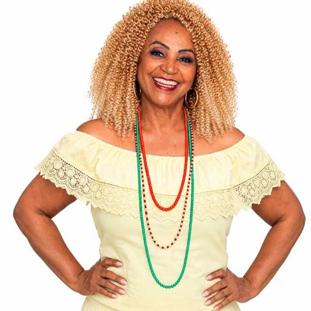 Sábado Homenagem Elaine Machado e Banda Raça Brasileira apresenta História da Diva